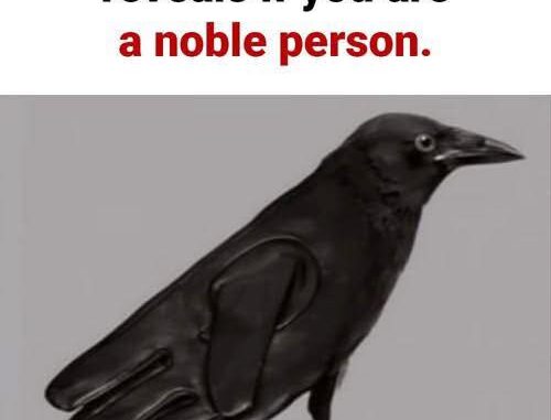 535783417_122146588454780549_1942877800722064019_n